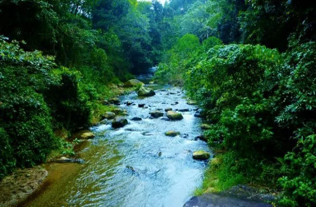 Complejo Ecoturistico Angostura river