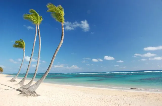 Sirenis Punta Cana Resort dreams beaches